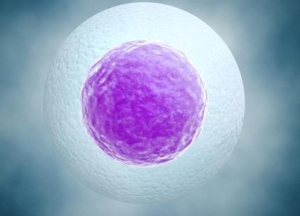 郑大一附院2026申请精卵免费吗？附该院做一次三代试管助孕的费用