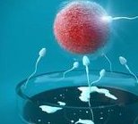 泰国三代试管包孕哪家最专业，泰国三代试管包孕专业机构大揭秘