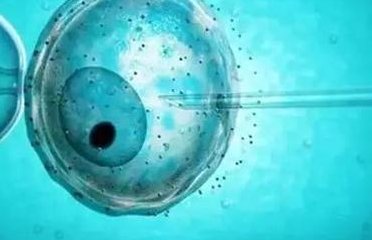 第三代试管婴儿的费用是多少呢？