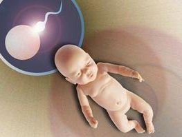 洛阳试管婴儿费用大揭秘，多少钱能圆您育儿梦？